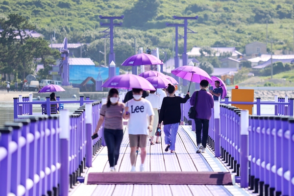 신안군, SRT 3천만명 독자가 선정한 “최고의 여행지”선정..'1004 뮤지엄 파크, 퍼플섬 최고여행지로' 2