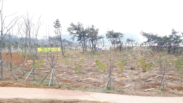 신안군, 제76회 식목일 기념 나무심기 행사 개최..'나무를 심고 가꾸는 분위기 조성' 2