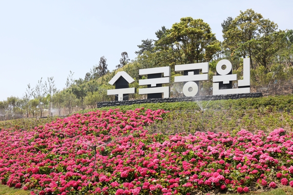 1004섬 신안『800만 송이 섬 수국 랜선축제』 개최..