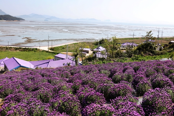 유엔세계관광기구(UNWTO) 최우수 관광마을 선정기념 사진전 개막..