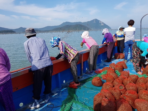 신안군! 수산자원 산란·서식장 조성사업비 100억 확보..