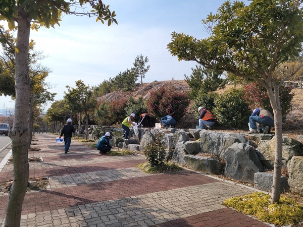 “신안군 전역 총 12만주 수목 비료 시비” 1