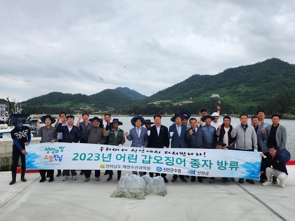 신안군, 어린 갑오징어 5만마리 방류..'고소득 품종(갑오징어) 방류로 어가소득 기대' 1