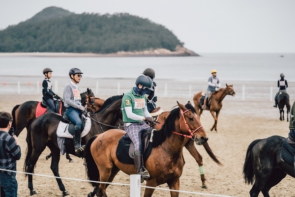 2024년 신안 임자 해변승마대회의 화려한 개막..