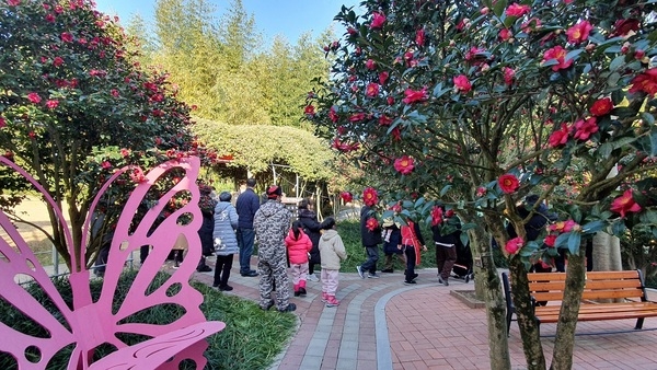 ‘섬 겨울꽃 축제’, 신안의 매력을 다시 한번 확인..의 이미지 확대 보기
