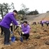 신안군, 전국 첫 식목행사 개최..