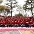 ‘섬 겨울꽃 송별축제 : 겨울의 작별인사 ’개막..