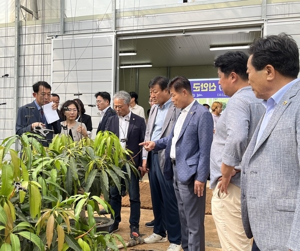 전남도의회 농수산위원회, 신안군 청년 경영실습 임대농장 현장 간담회 개최..