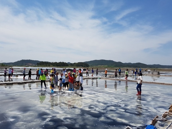 신안군, 제2회 보물섬 함초축제 개최..'아시아 최초 슬로시티 증도, 태평염전 특별무대에서 열려' 2
