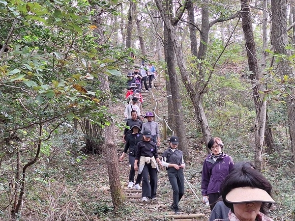 신안군, 지도읍 삼암산 등산·걷기 대회 성황리 개최 5