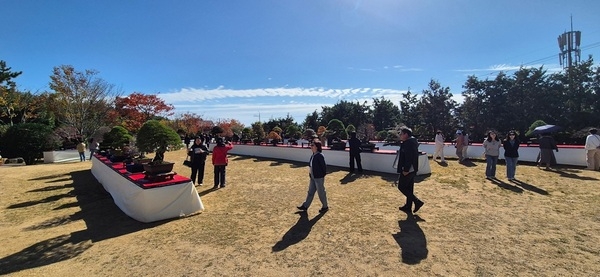 2025 아시아태평양분재우호연맹(ABFF) 컨벤션&대한민국 분재 대전 성황리 폐막..