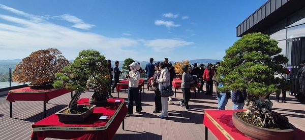 2025 아시아태평양분재우호연맹(ABFF) 컨벤션&대한민국 분재 대전 성황리 폐막..