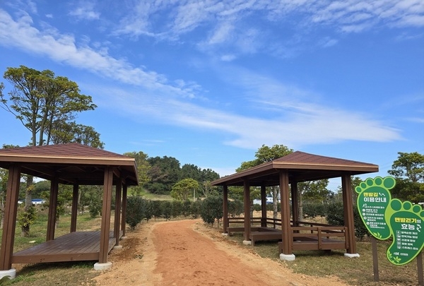 신의면 가락공원 황토맨발길 조성..'붉은 애기동백으로 물들어, 꽃길만 걷자' 3