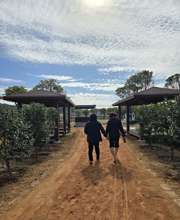 신의면 가락공원 황토맨발길 조성..'붉은 애기동백으로 물들어, 꽃길만 걷자' 1