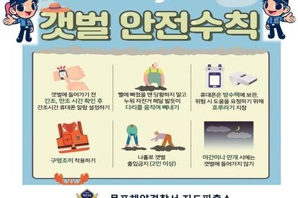, 카드뉴스