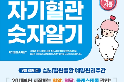 , 카드뉴스