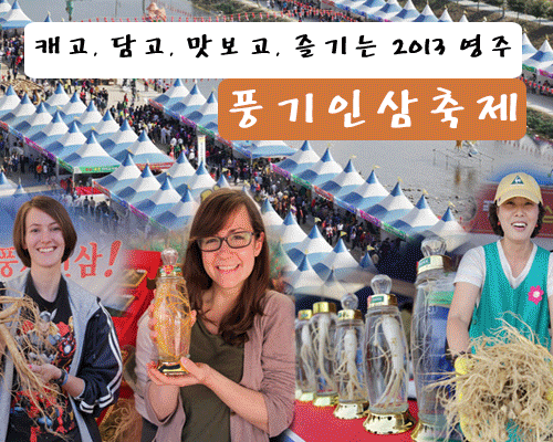 2013 풍기인삼축제 1