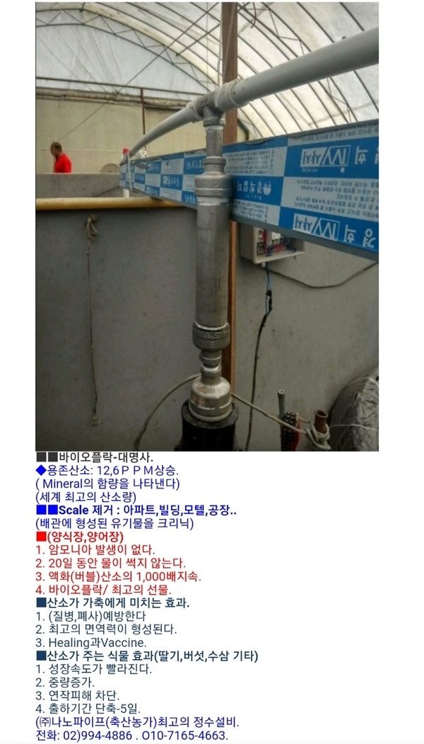 ●바이오플락과힌다리새우. 1