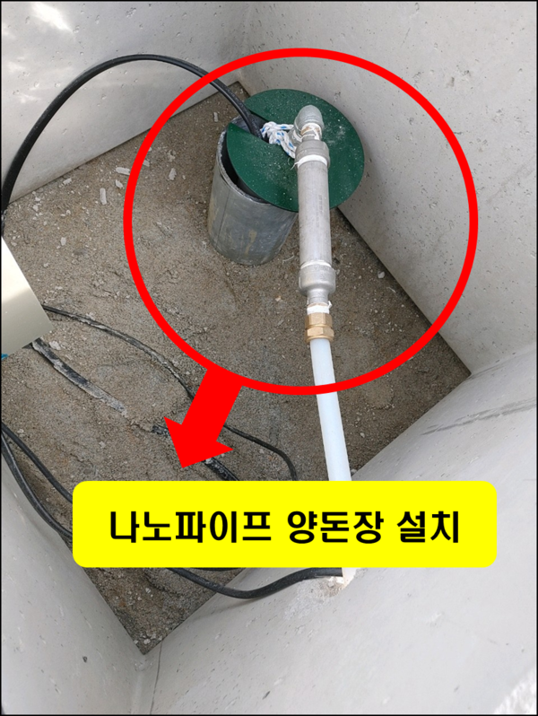 ◆닭사랑-물정화 1