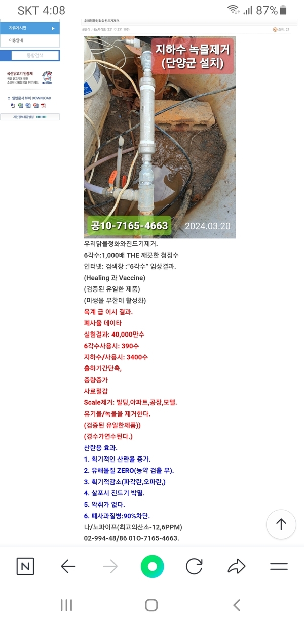 우리닭6각수를급이한다 1