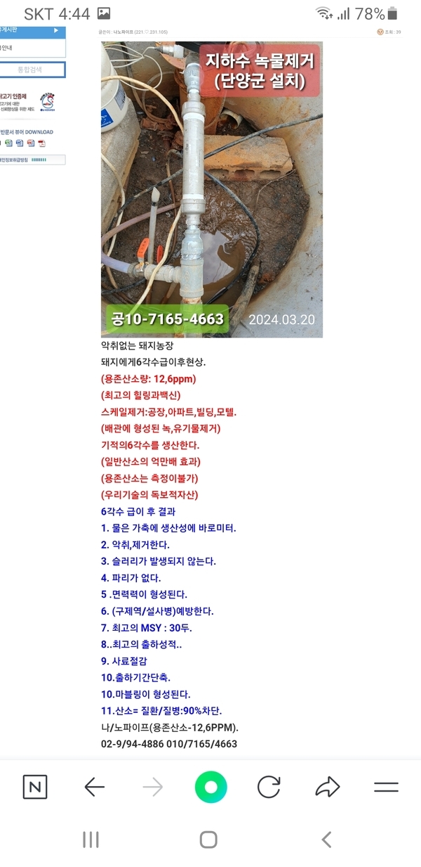 악취없는 돼지농장 1